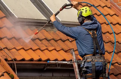 Démoussage et hydrofuge de toiture à Tendu